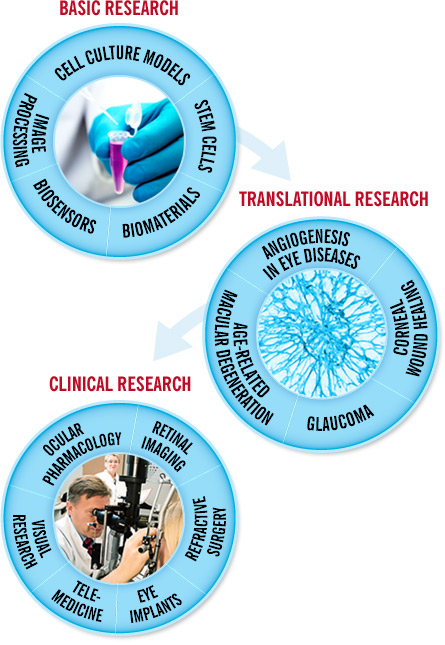 Basic research, translational research and clinical research